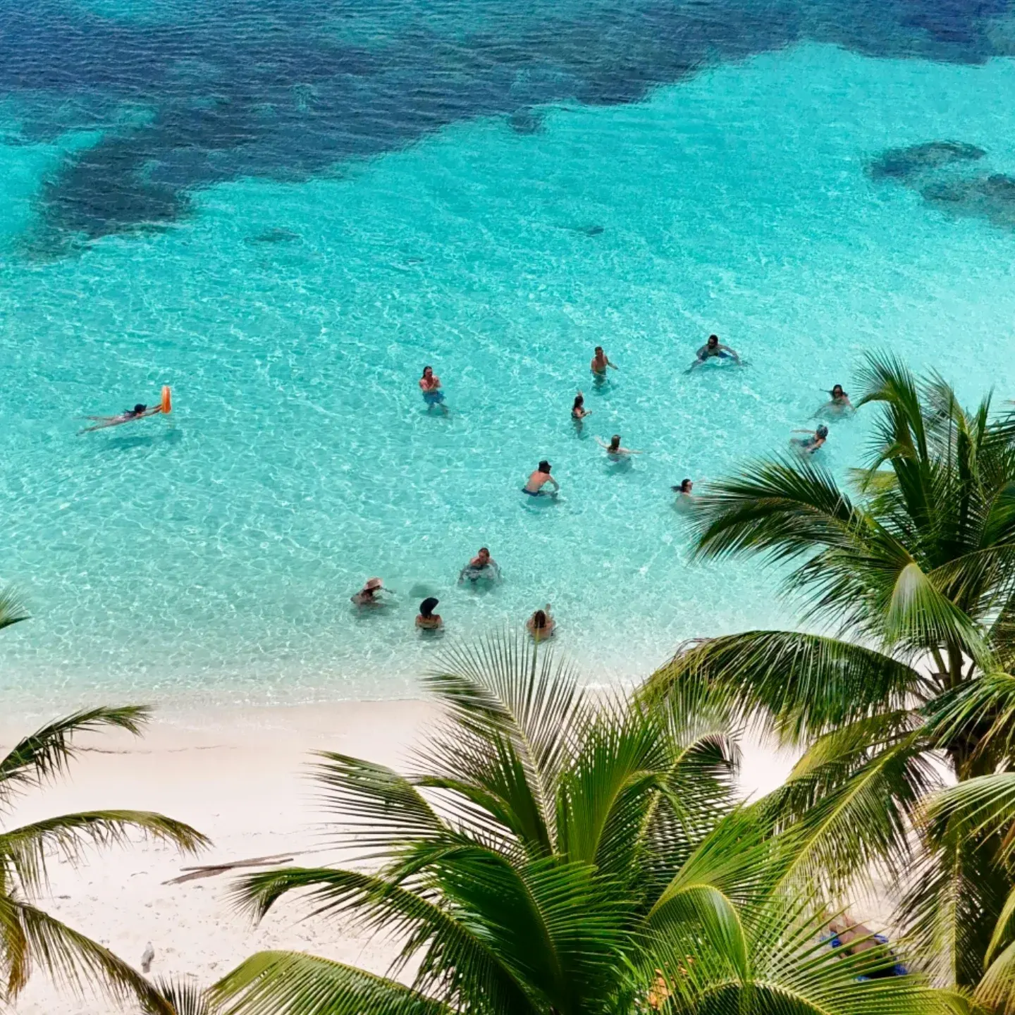 Guests snorkeling in turquoise water next to a San Blas island