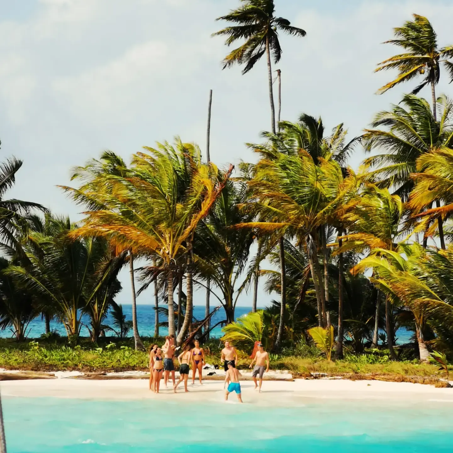 Palm trees and white sand beach on a tiny San Blas island